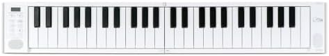 Midiplus Folding Electronic Piano 49 keys MIDI keyboard controller portable with 128 tones, 30 demo songs, 128 rhythm, Bpm control and octave/traspose features