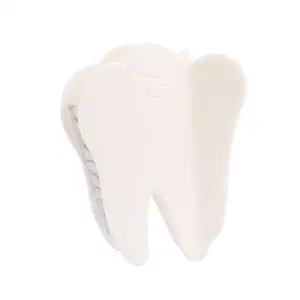 Personalised White Tooth Acetate Hair Claw Clip Oral Doctor Creative Hair Clip in Stomatology for Women Girls Gift
