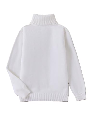 Basic Turtleneck Pullover Sweater | Slim Fit Knitwear with Stretch Collar and Ribbed Trim | Casual or Layered Look