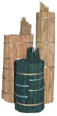 A.M. Leonard Estacas de bambú premium, verdes, 316 pulgadas x 30 pulgadas (paquete de 1,000 estacas)
