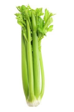 Celery (400 gram)