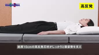 Amazon.co.jp: マニフレックス（magniflex）: 製品