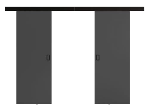 Mirjan24 Schiebetürsystem Fulmar Duo, 3 Breite wählbar...
