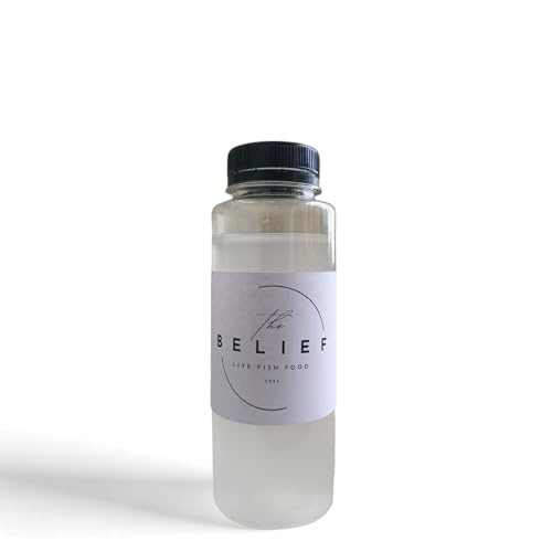 Image of Belief Moina Starter Culture Live Fish Food