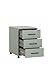 Schildmeyer Rollcontainer Ruby 158171, Pistazie, 40 x 50 x 57 cm
