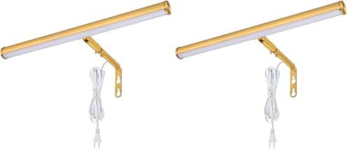 Image of LED Picture Lights for Paintings Plug in, Adjustable Art Light Gallery Wall Light for Display Art Work, 14 Inch 4W 3000K Warm White, Gold Finish CRI90+, ETL Listed (Pack of 2)