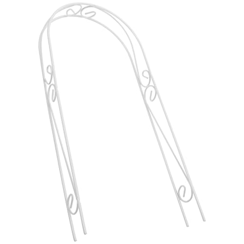 Holibanna i`S|x NC~OgX AApX^h OΉ ŕQh~ A̐T|[g