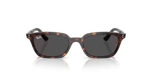 Ray-Ban Zaya RB4456-1359872