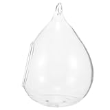 MAGICLULU Glass Hanging Terrarium Globe for Air Plants and Succulents, Indoor Plant Holder with Modern Shape