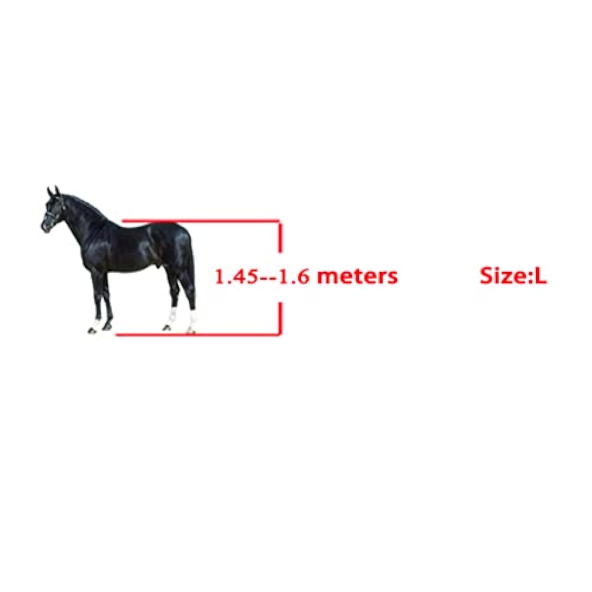 Adjustable Horse Front Leg Protector for Training