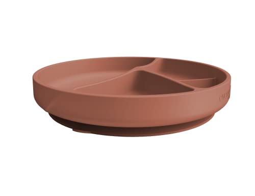 Everyday Baby Silikon Esslernteller mit Saugfuß Nature Red, rutschfest, ab 6 Monate, spülmaschinen- und mikrowellengeeignet Cover