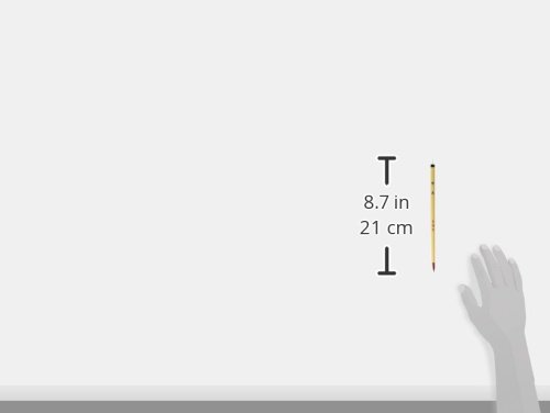 Amazon.com: Boku-undo Writing Brush for Calligraphy 