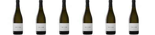 Drusian - Prosecco DOC Treviso Frizzante Sur lieCol Fondo - Rifermentazione in bottiglia - 0,75l (6 bottiglie)