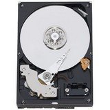 WESTERN DIGITAL, Western Digital Caviar Green WD20EARS Hard Drive (Catalog Category: Computer Technology / Storage Components)