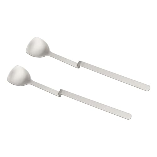 PRETYZOOM 2 Piezas cuchara de miel de acero inoxidable equipo de coctel cucharas de mermelada estera cucharas soperas cucharillas cucharas de miel caseras cucharas de café portátiles Silver