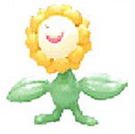 ポケットモンスター モンスターコレクション AG # 192 キマワリ ポケットモンスター モンスターコレクション AG # 192 キマワリ