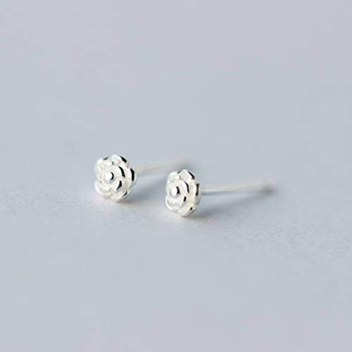 Boucles d'oreilles rose argent S925 anti-allergie pour oreilles sensibles