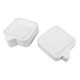 BIUDECO 100 Piezas Platos Cuadrados Desechables de Pulpa Gruesa Platos Pequeños para Cumpleaños Barbacoas y Manualidades Vajilla Ecológica para Servir Pasteles y Aperitivos
