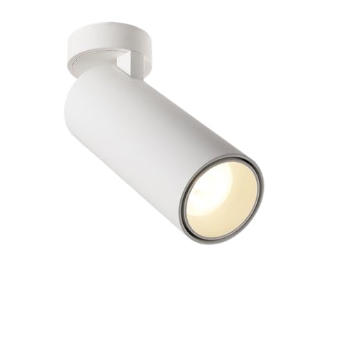 HuiNian Modern Home Spotlight 12W Anti-Glare Foldable Downlight Bedroom Living