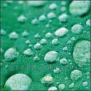 Green Adaptor [Audio CD]