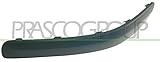 PRASCO HN3301244 Schutzleisten