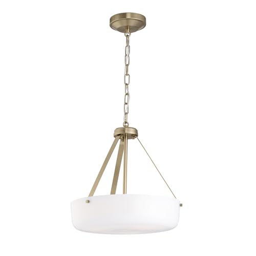 Progress Lighting Lieon Collection Three-Light Semi-Flush Convertible Light with White Glass Shade by Progress Lighting - Used condition - US$71.63