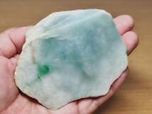 Amazon.co.jp: ◇青緑◇ 338g 翡翠 ヒスイ 翡翠原石 原石 鑑賞石