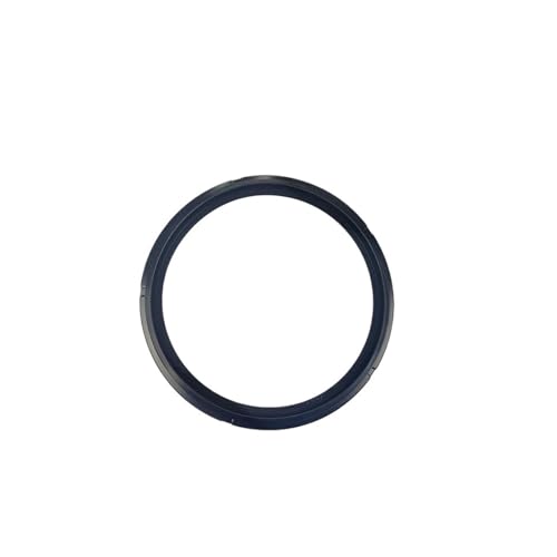 Joint de porte d'autoclave E/V 23-29/30B-31 | Accessoire de rechange pour joints de chambre