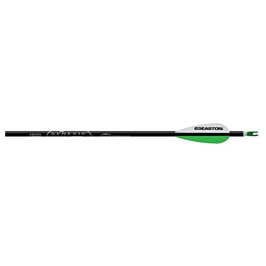 Easton Genesis V2 Arrows Black 1820 6 pk.