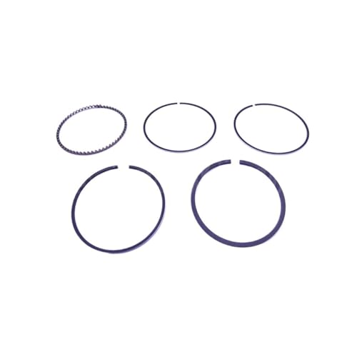 Segments de piston F2.6 moteur hors-bord 4 temps F2.6-04020000