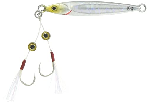 JACKALL ビッグバッカー FIT JIG 10gシラスシルバー/マグマウェーブホロ