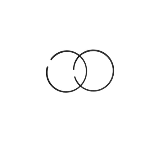 2つのオートバイピストンリングと互換性あり。厚さ1.2mm。直径40mm、41mm、41.1mm、41.5mm、42mm、43mm、44mm、45mm、47mm、47.5mm、48mm、49mm。刈払機、トリマー、のこぎり、乾燥機にユニバーサル。(41.5
