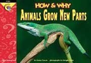 Toy Animals Grow New Parts Book