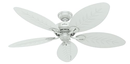Hunter Fan Ventilador de Techo con Cadena