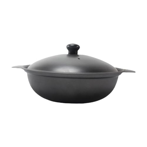 iplusmile Cazuela de Hierro Fundido con Tapa para Estofado de Pollo y Arroz Utensilio de Cocina Doméstico para Guisos Uniformes y Calentamiento Rápido