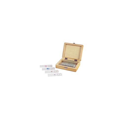 Celestron Prepared Microscope Slides, 25-Piece Specimen Collection - image 2