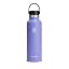 Lupine Purple