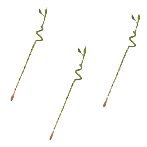 Verdecora Lucky Bamboo | Bambú de la suerte | Planta natural de interior (Espiral 70cm PACK 3 UNIDADES)