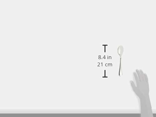 Amazon.co.jp: 遠藤商事 業務用 ピガール フィッシュソーススプーン 18