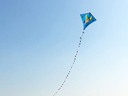 ZHUOYUE Kids Kite Easy Flyer Single Kites ,Quality Fabric Large Diamond Kite with Long Tail and Flying Tool
