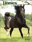 Unknown Binding Horses 2007 Hardcover Engagement Calendar Book