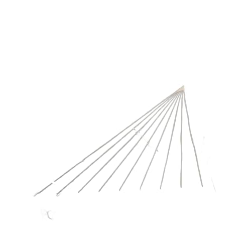 SnowMan RAYS g[gobO Xm