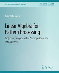 Buy Linear Algebra for Pattern Processing: Projection, Singular Value Decomposition, and Pseudoinverse — BookShops.in