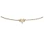 Clear/Gold Pave Star