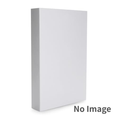 Bebefinn -Best Hit Songs- DVD付ワークブック