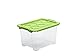 Rotho, Evo Safe Keeping, pudełko do przechowywania 15 l z pokrywką, tworzywo sztuczne (PP) BPA, przezroczyste/zielony, 15 l (39,3 x 28,3 x 23,0 cm)