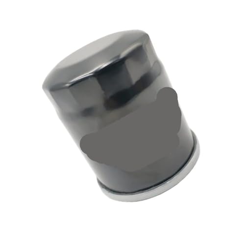 Filtre à huile pour Hisun 450 500 700 évite la surchauffe moteur 56218