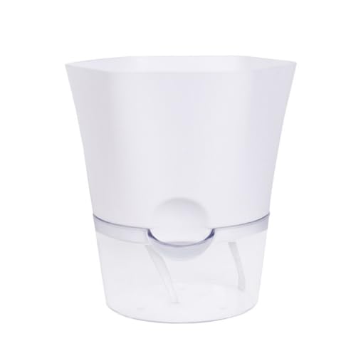 Aؔ v^[ v^[  z[vt 2d\ pt ϗtA n[u ԍ͔|Kp vX`bN p x_ 2 (TCY)