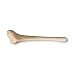 American Beaver Baculum (4cm) (Natural Bone)