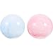 BESPORTBLE Balance Ball 2pcs Small Exercise Ball Pilates Ball Core Ball Professional Yoga Ball Physical Gym Ball Sport Training Ball for Pregnant Woman Fitness Balance Stability Birthing